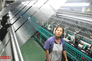 全球工業(yè)減速潮涌 脆弱企業(yè)生存困境與產(chǎn)業(yè)轉(zhuǎn)型之路